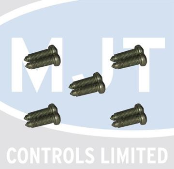 Picture of 0020107692 SCREW (PK10)