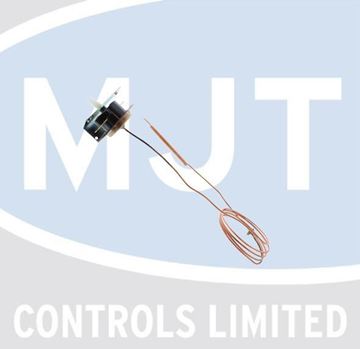 Picture of 101024 TEMPERATURE LIMITER