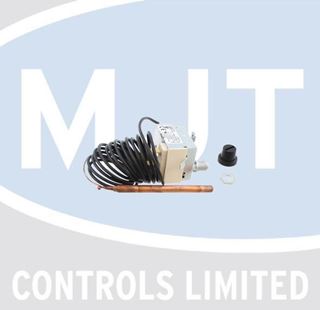 Picture of 065869 OVERHEAT THERMOSTAT 85000032