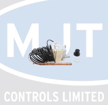 Picture of 065869 OVERHEAT THERMOSTAT 85000032