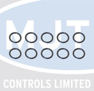 Picture of 174254 O RING (QTY 10) FLOW-RET TO W'SET-M SER