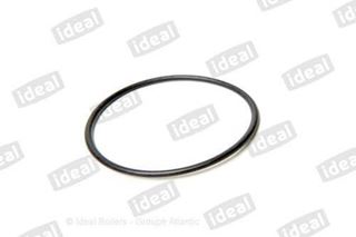 Picture of 176939 O RING - FLUE NOSE 11 0752