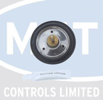 Picture of 173495 DIAPHRAGM KIT FOR GIANNONI 3 WAY VALVE