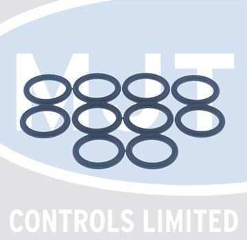 Picture of 0020033467 O-RING (PK10)