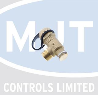 Picture of 10023569 NON RETURN VALVE