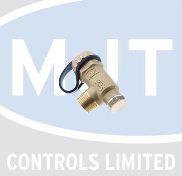 Picture of 10023569 NON RETURN VALVE