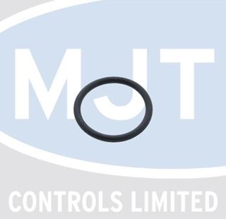 Picture of 10026324 O RING