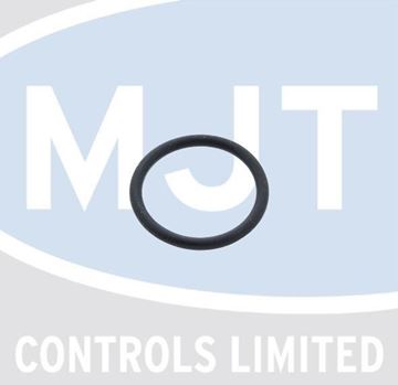 Picture of 10026324 O RING