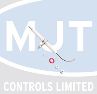 Picture of 10026316 DETECTION ELECTRODE