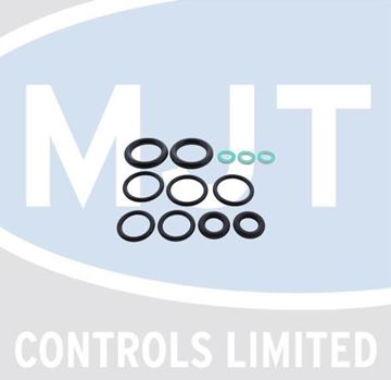 Picture of 39817620 "O" RING SET