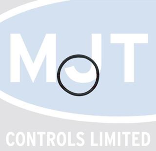 Picture of 570307 FLANGE GASKET