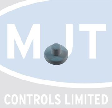 Picture of 998571 RESET BUTTON INSERT