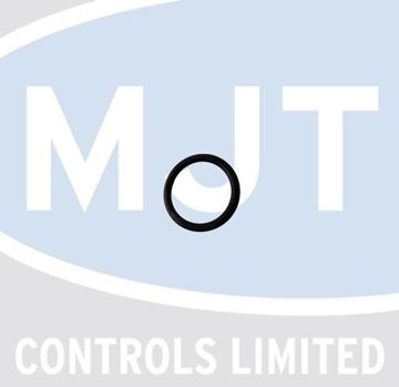 Picture of 407503 O RING PACKING KG1001109