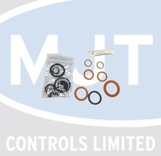 Picture of 796491 GIANNONI DIVERTER VALVE DIAPHRAGM REPAIR KIT