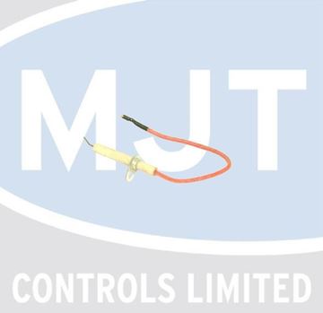 Picture of 10/11587 ELECTRODE ASSY