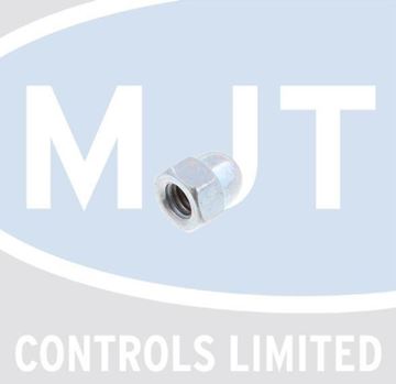 Picture of C08200360 NUT M6+C121