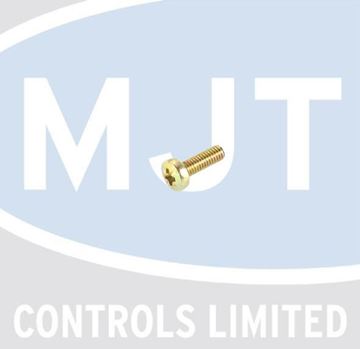 Picture of C17300050 M5 X 12 SPECIAL SCREW