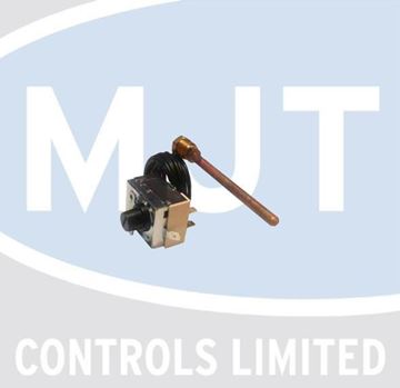 Picture of 6001402 THERMOSTAT