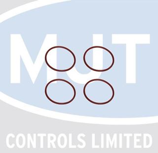 Picture of S103263 O RING D: 107 X 5MM (4X)