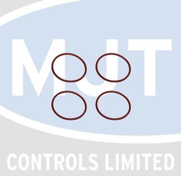 Picture of S103263 O RING D: 107 X 5MM (4X)