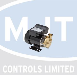 Picture of RG500 1PH S/TURNER PUMP now RG6000 REPLACE BY PH45TS