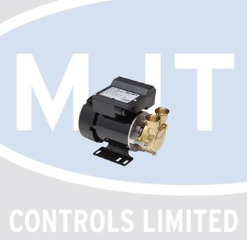 Picture of RG500 1PH S/TURNER PUMP now RG6000 REPLACE BY PH45TS