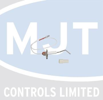 Picture of BI1293103 FLAME DETECTION PROBE