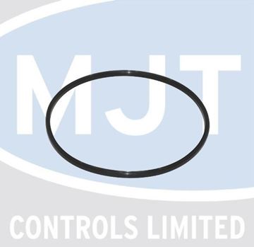 Picture of 7836177 BURNER GASKET, 187X5.5MM